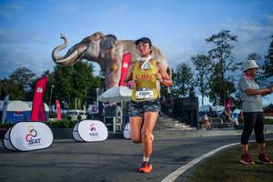 BIB: 
                            <button type="button" onclick="openModal(26541914)" class="btn btn-primary btn-sm float-right btn-popup" data-toggle="modal" data-target=".modal-high-quality">
                        <i class="fas fa-shopping-cart"></i> Add to Cart
                    </button>
                                            <button type="button" onclick="isThisMe(26541914, true)" class="btn btn-success btn-sm float-right btn-popup btn-isme hidden" data-toggle="tooltip" data-placement="bottom" title="นี่คือรูปของคุณใช่ไหม คลิกที่นี่เพื่อเอาเข้าอัลบั้ม">
                        <i class="fas fa-plus"></i> Add to album
                    </button>
                    <button type="button" onclick="isThisMe(26541914, false)" class="btn btn-warning btn-sm float-right btn-popup btn-isnotme hidden">
                        <i class="fas fa-ban"></i> Remove from album
                    </button>